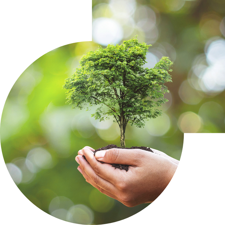 关怀人类、文化、环境与社会